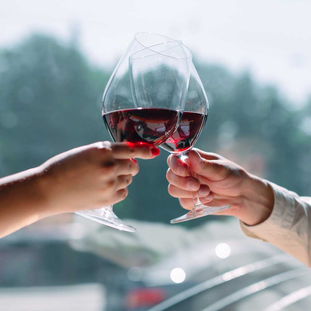 "Burgunder-Wunder" BioBoden Weinpaket & Weinverkostung